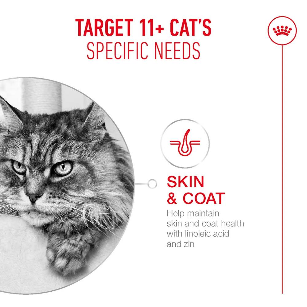 'BUNDLE DEAL': Royal Canin Senior Ageing Sterilised 11+ Dry Cat Food 2kg - Kohepets