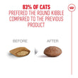 'BUNDLE DEAL': Royal Canin Senior Ageing Sterilised 11+ Dry Cat Food 2kg - Kohepets
