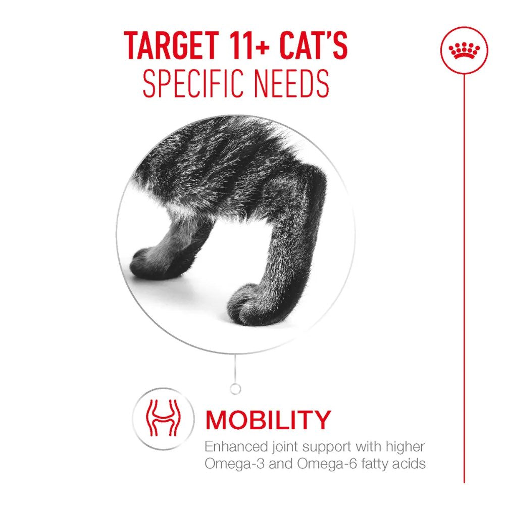 'BUNDLE DEAL': Royal Canin Senior Ageing Sterilised 11+ Dry Cat Food 2kg - Kohepets