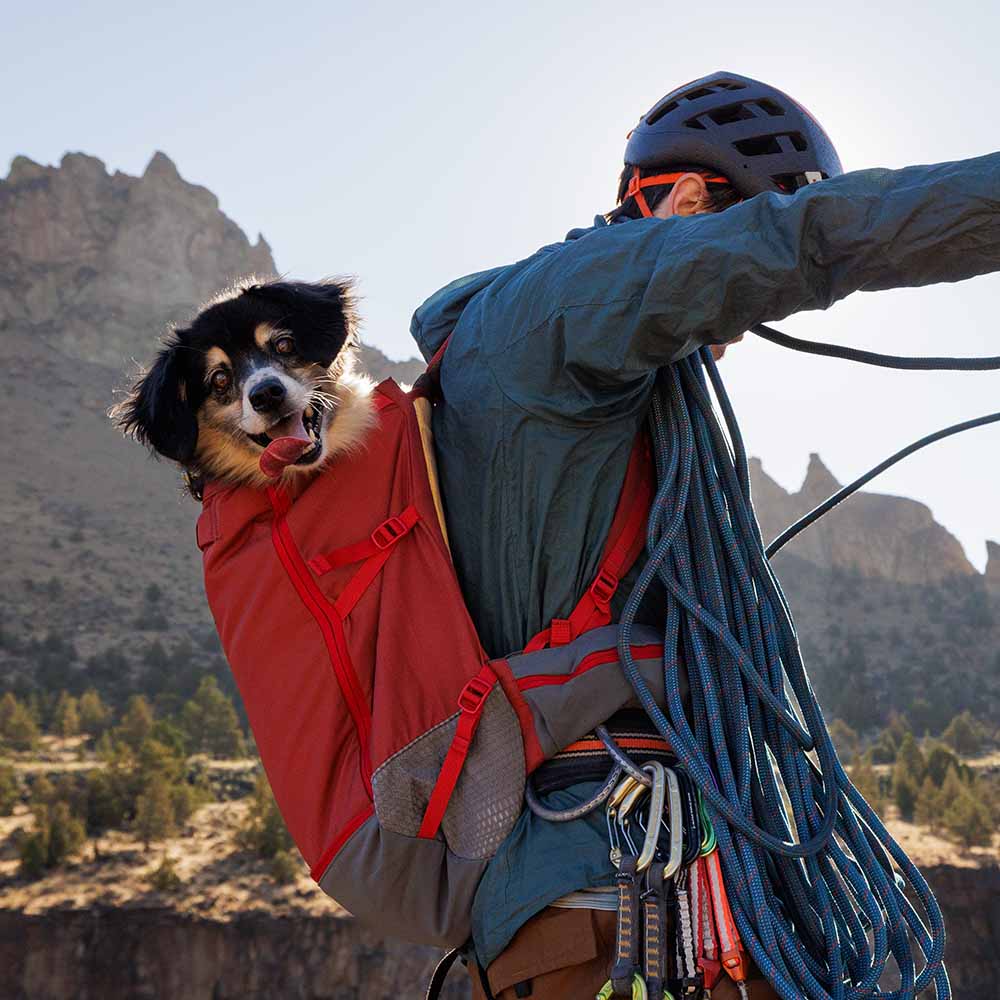 Ruffwear Backpack Dog Carriers — Comfortable & Secure With Integrated Harnesses!