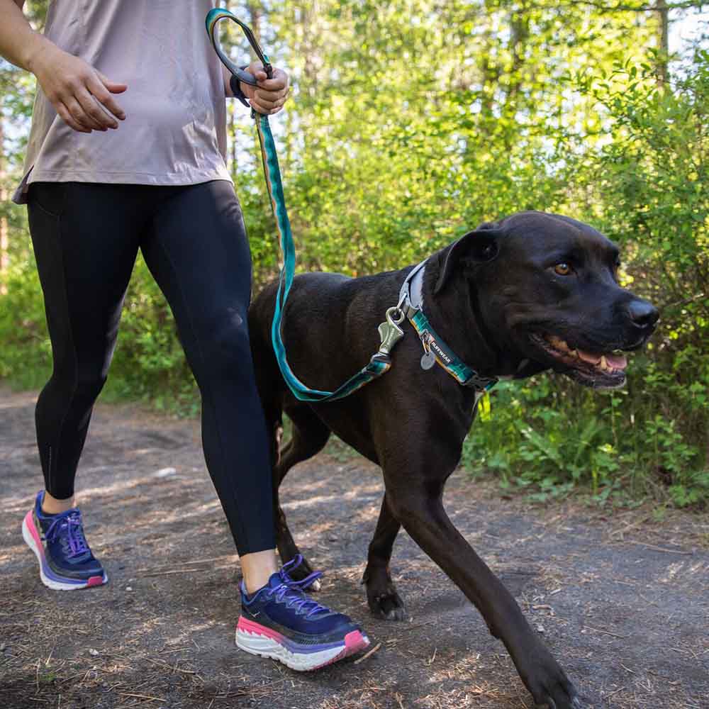 Ruffwear Dog Leashes —  Strong, Resilient Leashes Ideal For Even The Strongest Dogs!