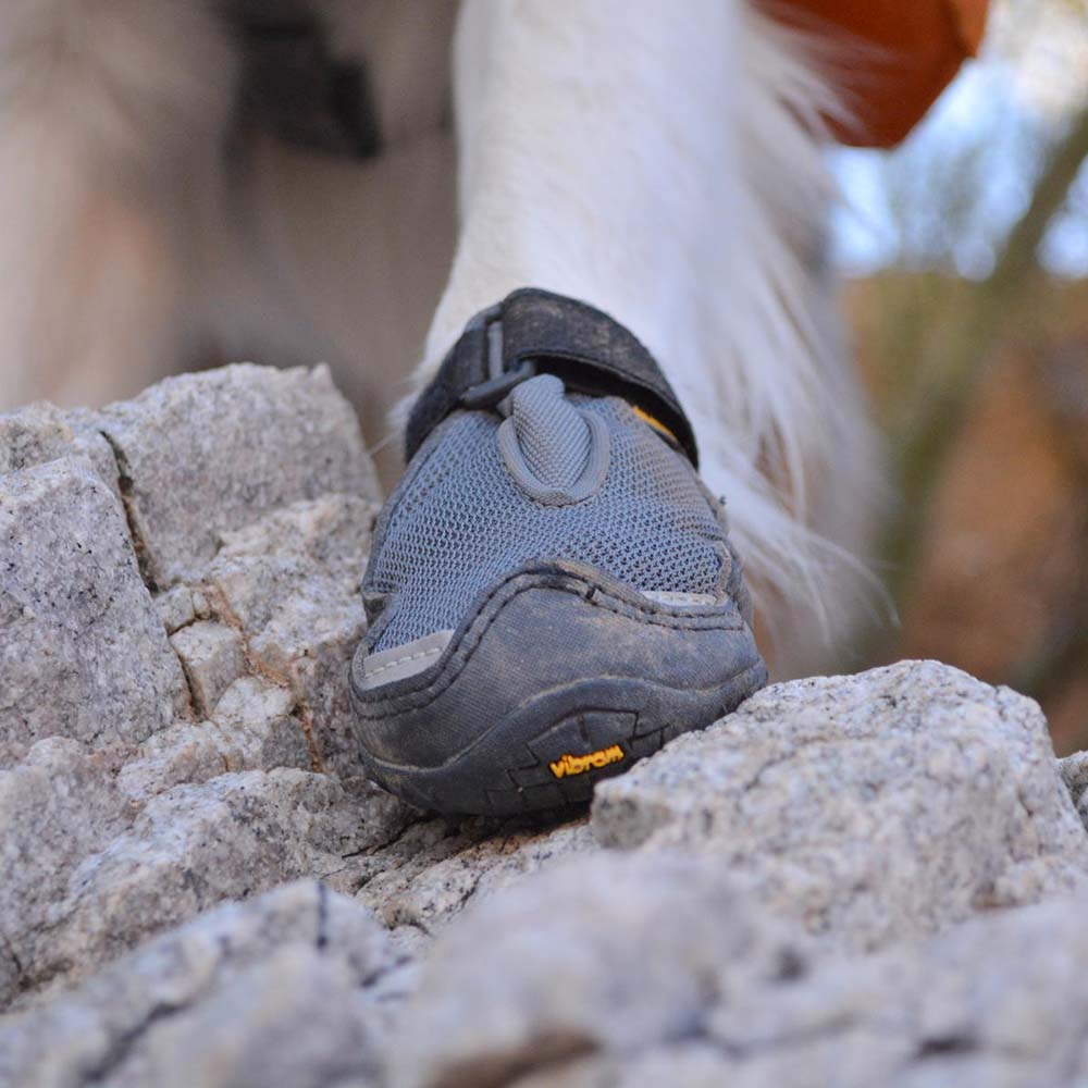 Ruffwear Dog Socks & Shoes — Protect Your Dog’s Paws From Rough Surfaces!