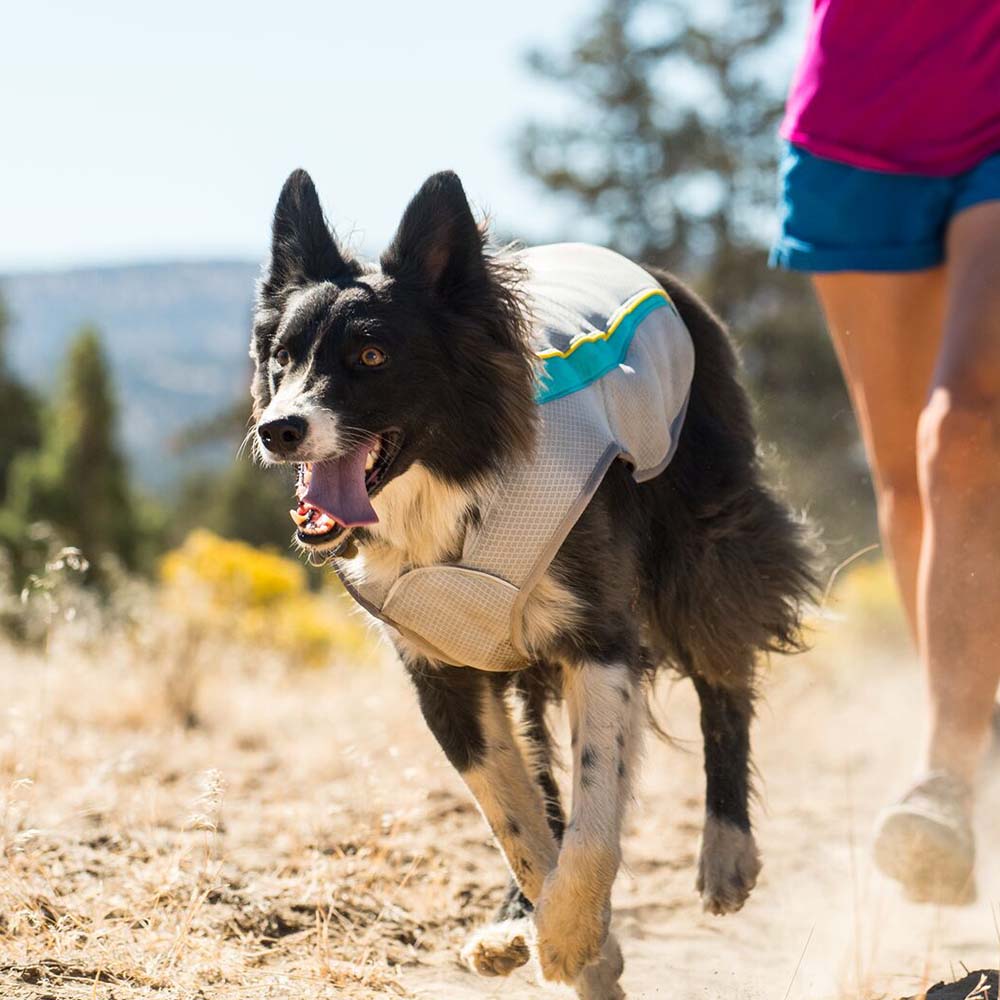 Ruffwear Vests, Raincoats & Gaiters — Stay Cool, Comfortable & Safe!