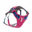 Ruffwear Flagline Lightweight No-Pull Handled Dog Harness (Alpenglow Pink)