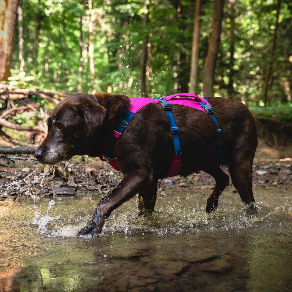 Ruffwear Flagline Lightweight No-Pull Handled Dog Harness (Alpenglow Pink)