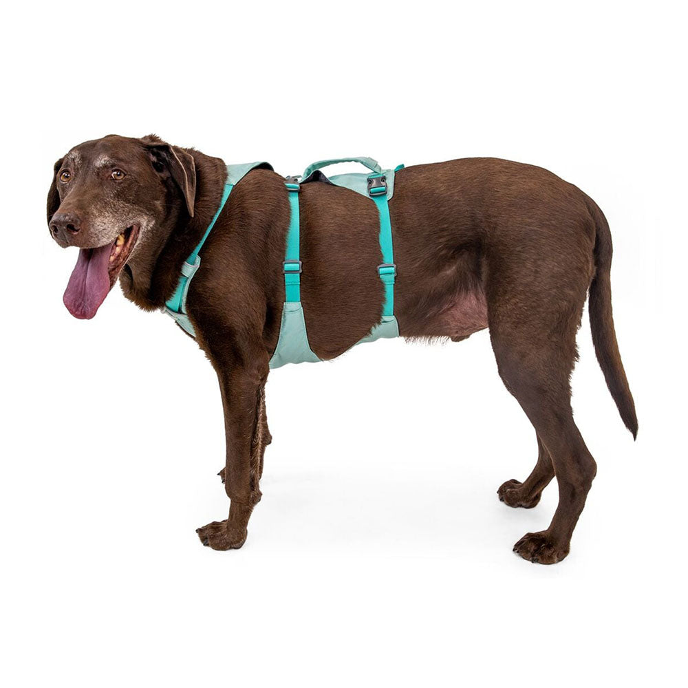 KOHE-VERSARY 10% OFF: Ruffwear Flagline Lightweight No-Pull Handled Dog Harness (Sage Green)