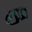 KOHE-VERSARY 10% OFF: Ruffwear Flagline Lightweight No-Pull Handled Dog Harness (Sage Green)