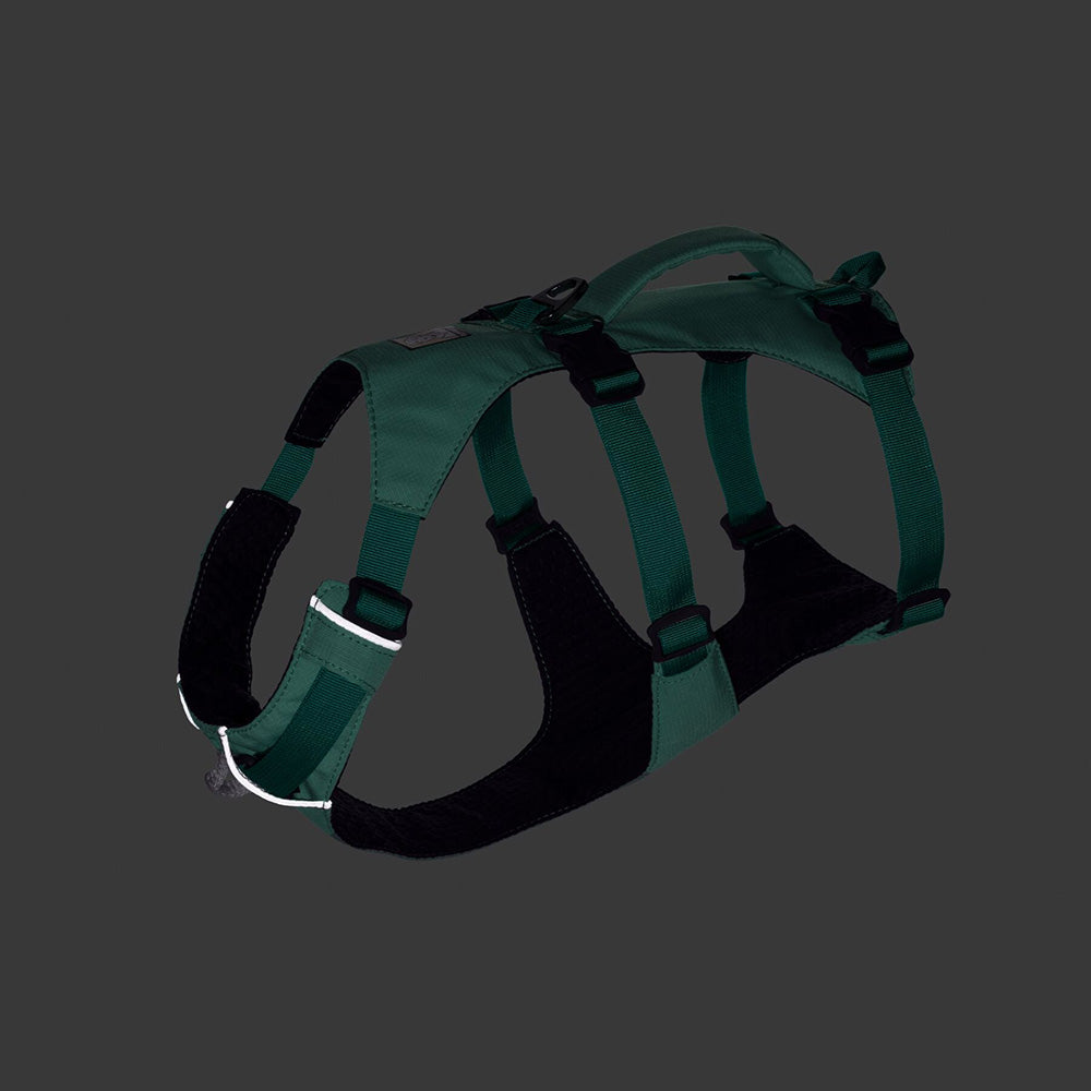 KOHE-VERSARY 10% OFF: Ruffwear Flagline Lightweight No-Pull Handled Dog Harness (Sage Green)