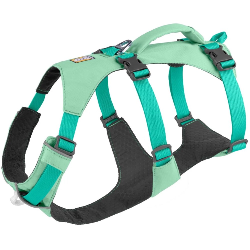 KOHE-VERSARY 10% OFF: Ruffwear Flagline Lightweight No-Pull Handled Dog Harness (Sage Green)
