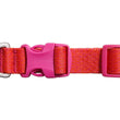 Ruffwear Flex Collar in Rose Violet against a white background.
