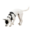 Ruffwear Front Range Flex Dog Harness (Basalt Grey)