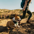 Ruffwear Front Range Flex Dog Harness (Deep Teal)