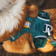 Ruffwear Front Range Flex Dog Harness (Deep Teal)