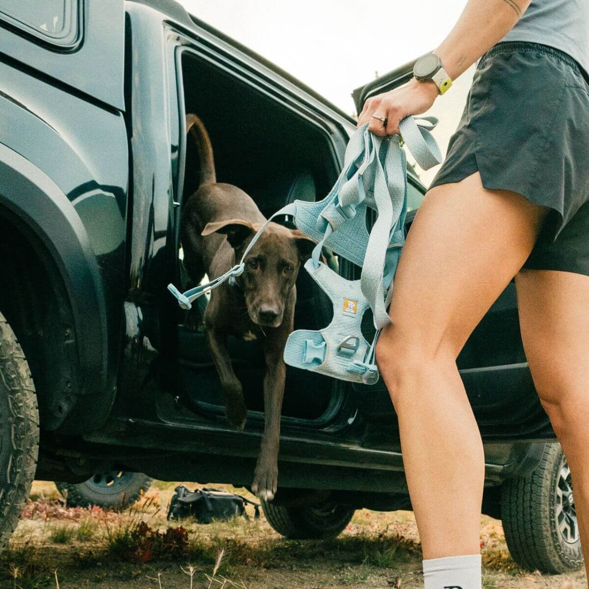 Ruffwear Front Range Flex Dog Harness (Polar Blue)
