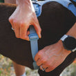 Ruffwear Front Range Flex Dog Harness (Polar Blue)