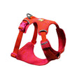 Ruffwear Front Range Flex Dog Harness (Rose Violet)