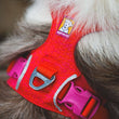 Ruffwear Front Range Flex Dog Harness (Rose Violet)