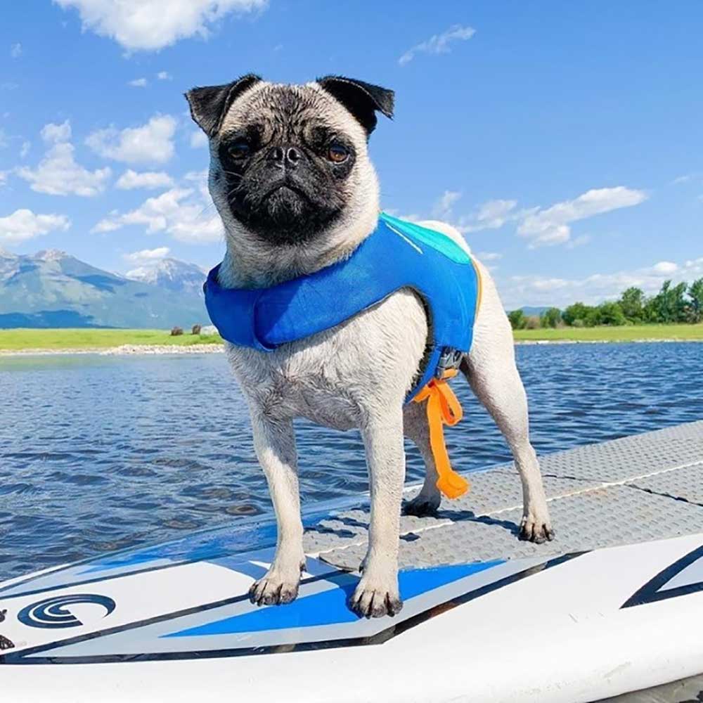 Ruffwear Dog Life Jackets & Swimming Accessories — Perfect For All Your Dog’s Water Activities!