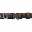 Ruffwear Front Range Dog Collar (Moonlight Fade)