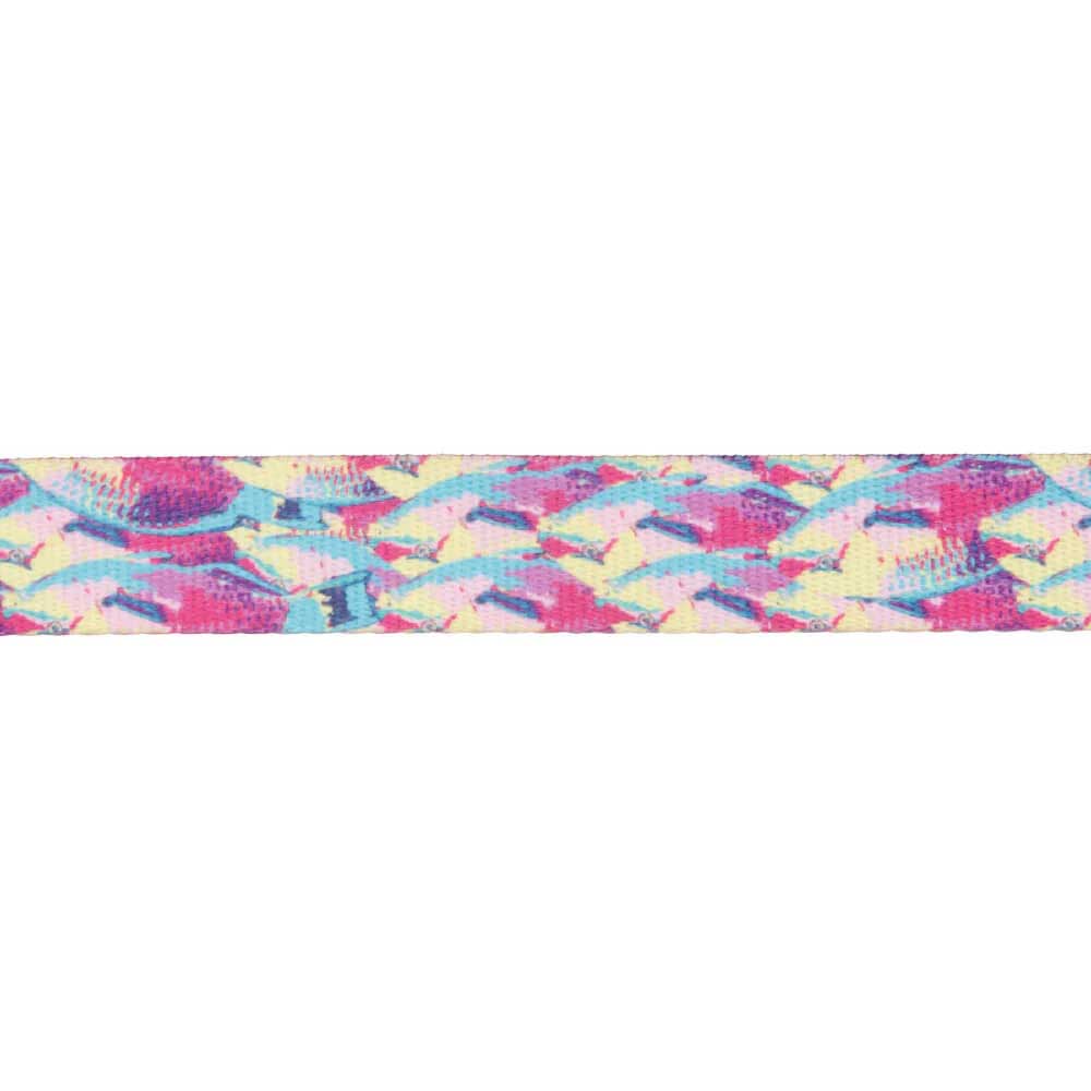 Ruffwear Front Range Dog Collar (Reel Fish)