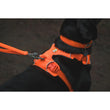 KOHE-VERSARY 10% OFF: Ruffwear Front Range No-Pull Everyday Dog Harness (Blaze Orange)