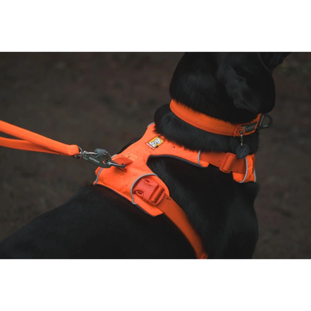 KOHE-VERSARY 10% OFF: Ruffwear Front Range No-Pull Everyday Dog Harness (Blaze Orange)