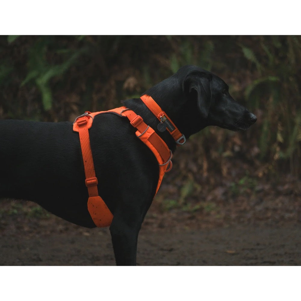 KOHE-VERSARY 10% OFF: Ruffwear Front Range No-Pull Everyday Dog Harness (Blaze Orange)