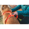 KOHE-VERSARY 10% OFF: Ruffwear Front Range No-Pull Everyday Dog Harness (Blaze Orange)
