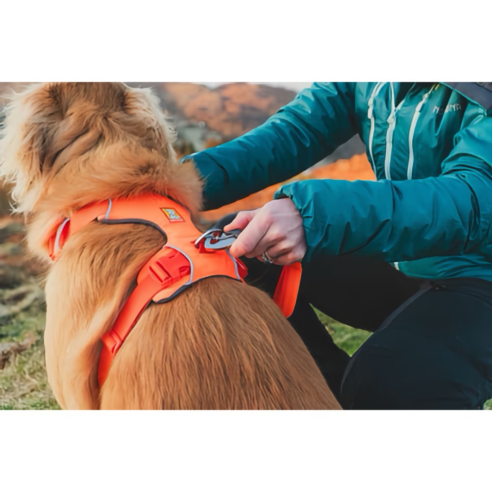 KOHE-VERSARY 10% OFF: Ruffwear Front Range No-Pull Everyday Dog Harness (Blaze Orange)