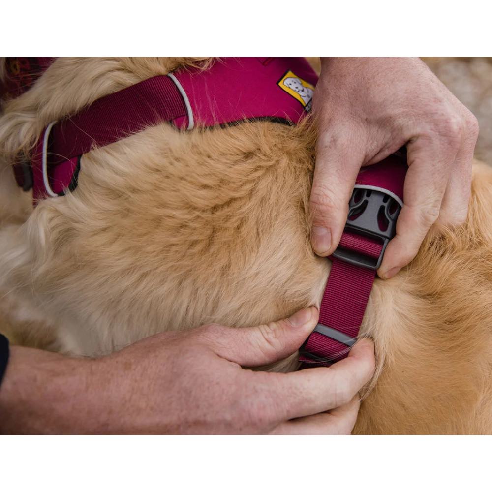 Ruffwear Front Range NoPull Everyday Dog Harness (Red Clay) Kohepets