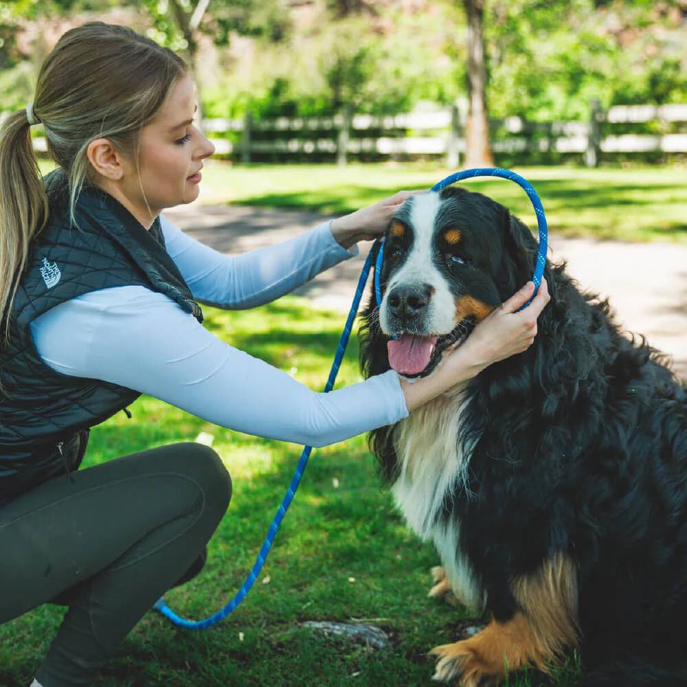 Ruffwear Just-a-Cinch Reflective Rope Slip Dog Leash (Blue Pool)