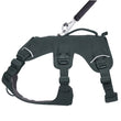 KOHE-VERSARY 10% OFF: Ruffwear Web Master Secure Multi-Function Handled Dog Harness (Basalt Gray)