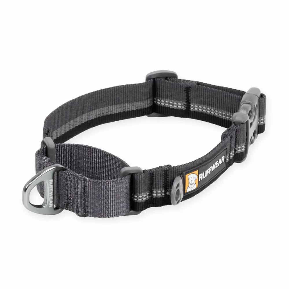 Ruffwear Web Reaction Reflective Martingale Dog Collar (Basalt Gray)