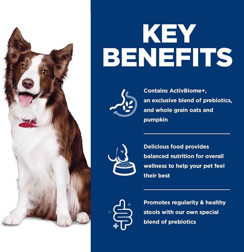 Science Diet Adult Perfect Digestion Chicken, Barley & Whole Oats Dry Dog Food