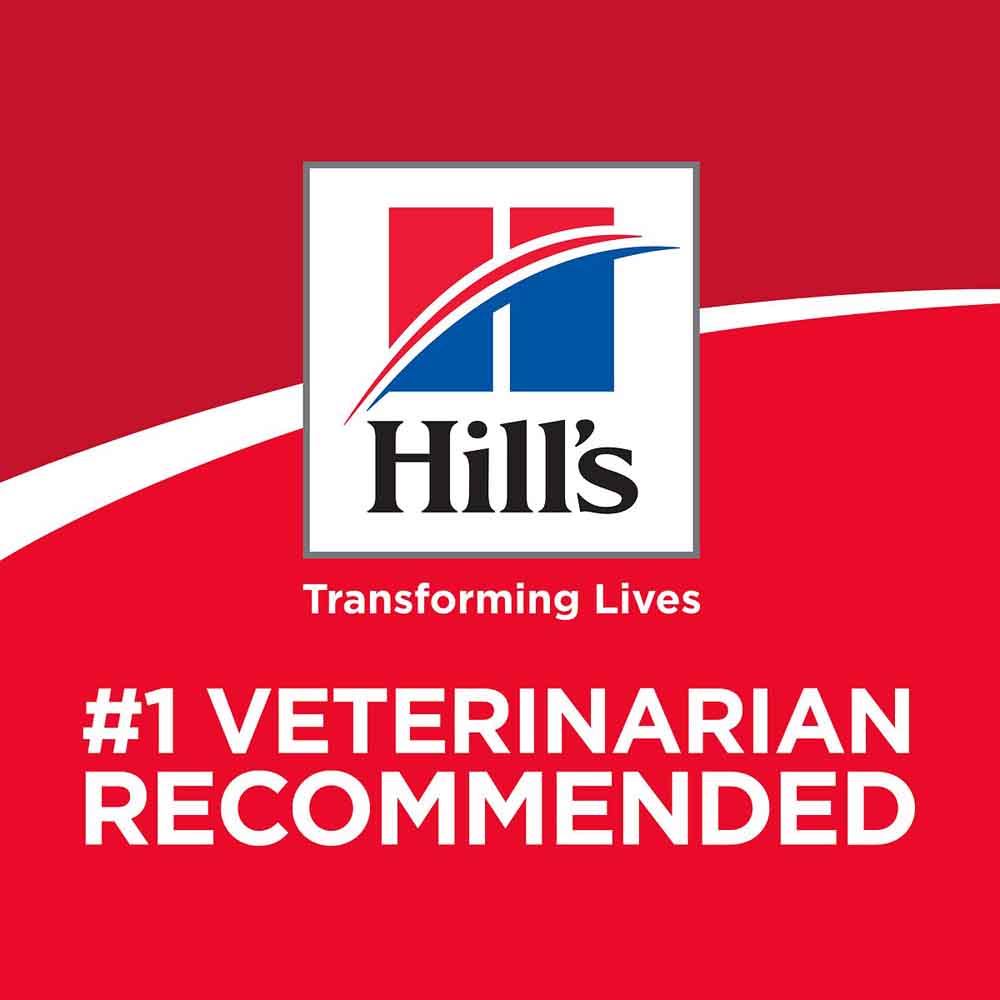 Science Diet Adult Perfect Digestion Salmon & Brown Rice Dry Dog Food 3.5lb