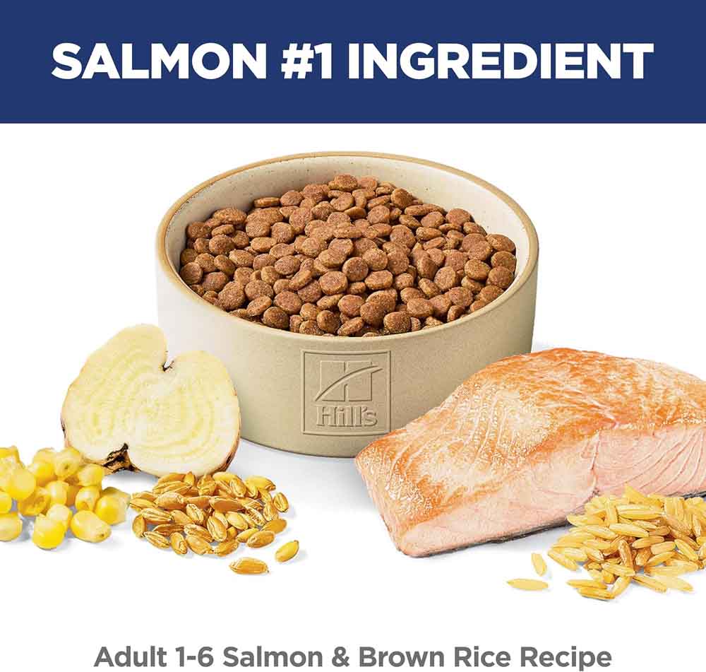 Science Diet Adult Salmon & Brown Rice Dry Cat Food 3.5lb - Kohepets