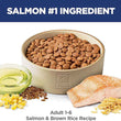 Science Diet Adult Salmon & Brown Rice Dry Dog Food