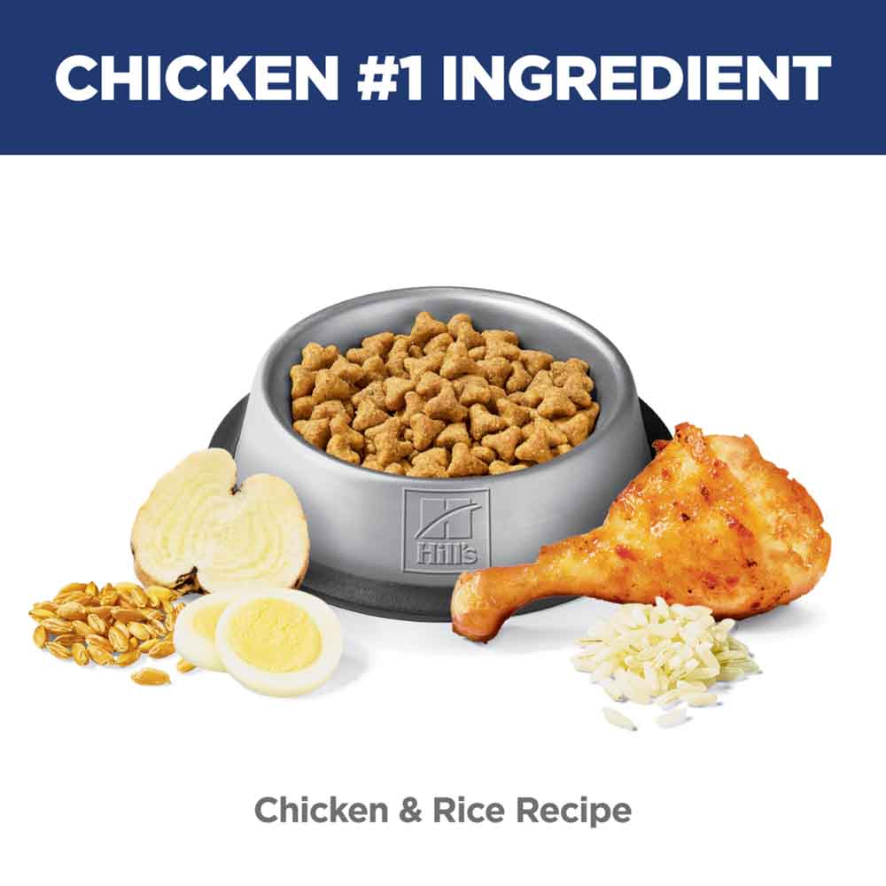 Science Diet Adult Urinary & Hairball Control Chicken & Rice Dry Cat Food 3.5lb