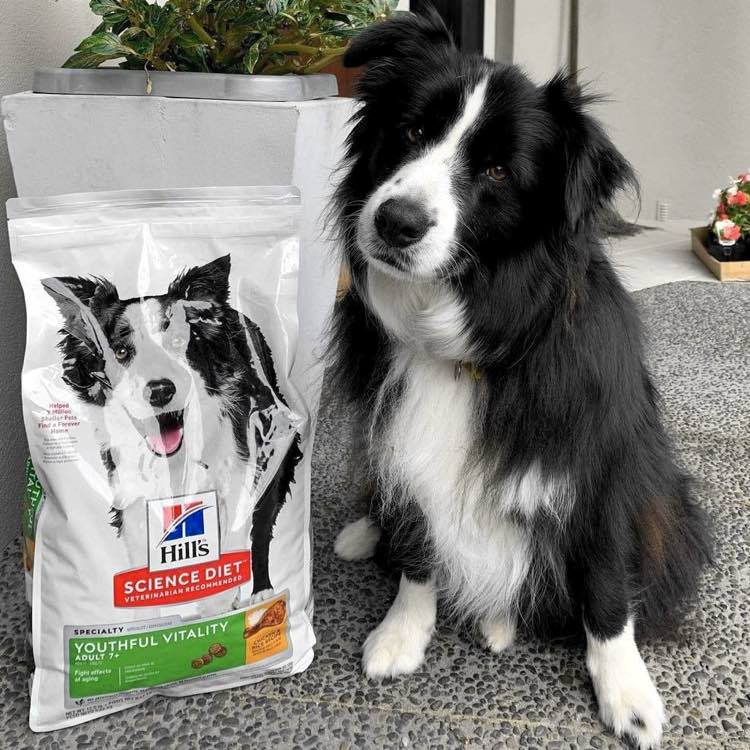 Science Diet Senior Vitality Dry Pet Food — Created For Cats & Dogs Aged 7+!