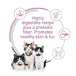 Science Diet Kitten Sensitive Stomach & Skin Salmon & Brown Rice Dry Cat Food 3.5lb - Kohepets