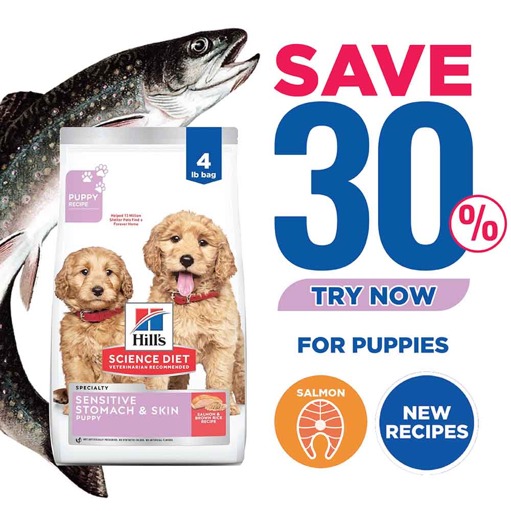 Science Diet Puppy Sensitive Stomach & Skin Salmon & Brown Rice Dry Dog Food 4lb - Kohepets