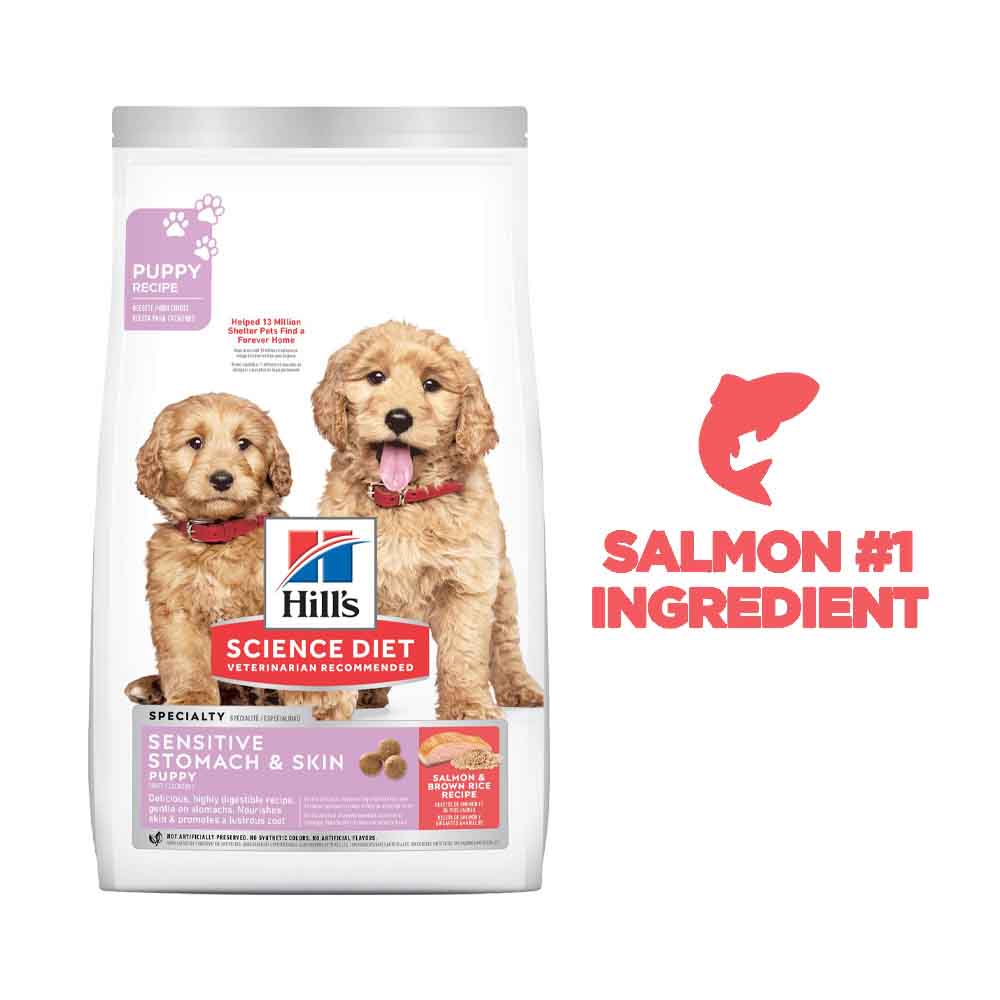 Science Diet Puppy Sensitive Stomach & Skin Salmon & Brown Rice Dry Dog Food 4lb - Kohepets