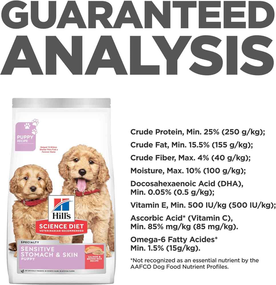 Science Diet Puppy Sensitive Stomach & Skin Salmon & Brown Rice Dry Dog Food 4lb - Kohepets