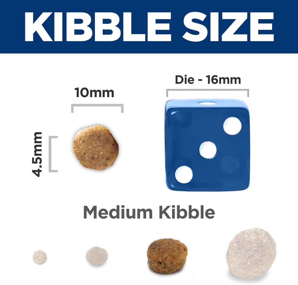 Science Diet Puppy Sensitive Stomach & Skin Salmon & Brown Rice Dry Dog Food 4lb - Kohepets