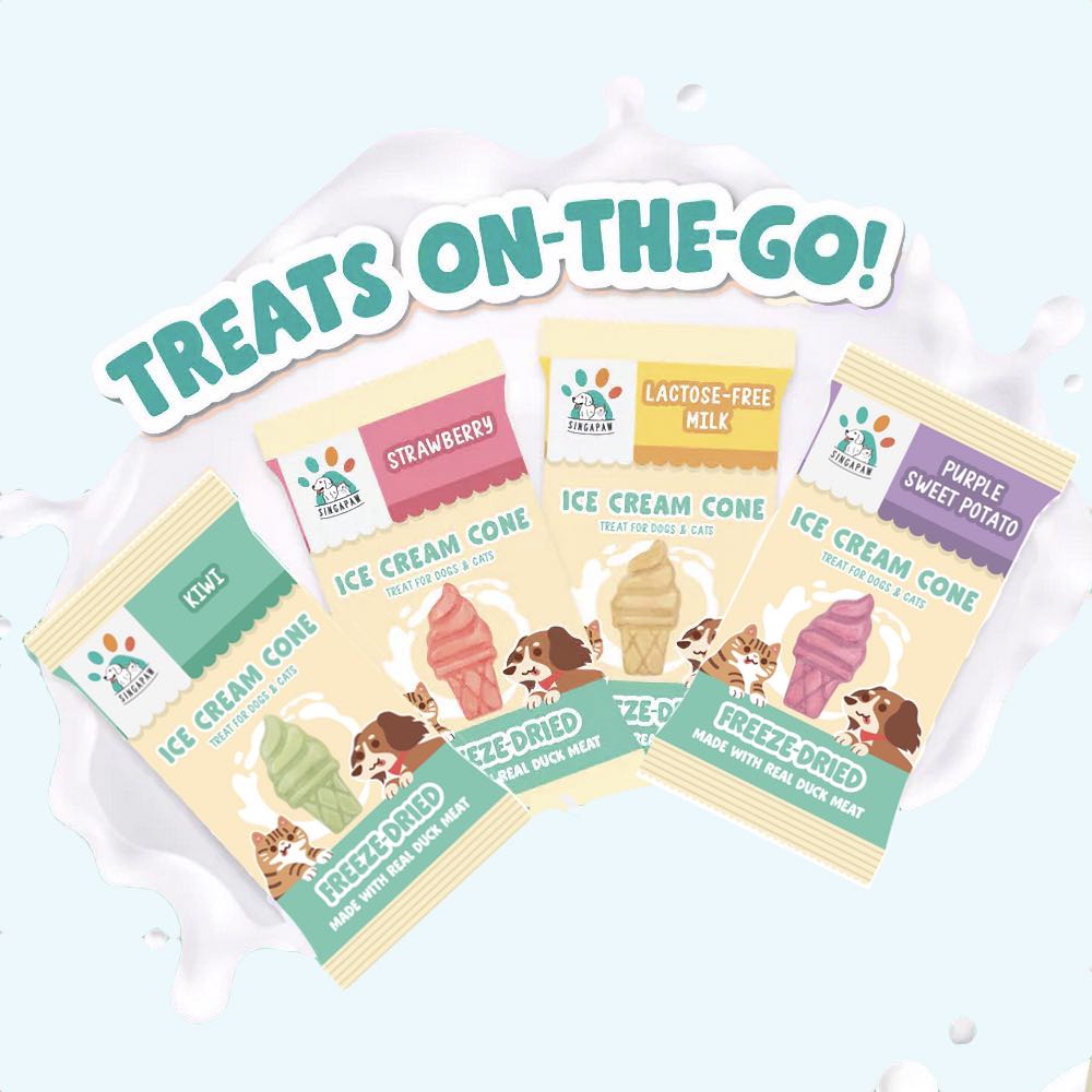 TRIAL SPECIAL: SingAPaw Ice Cream Cone Duck Freeze-Dried Treats For Cats & Dogs 1pc