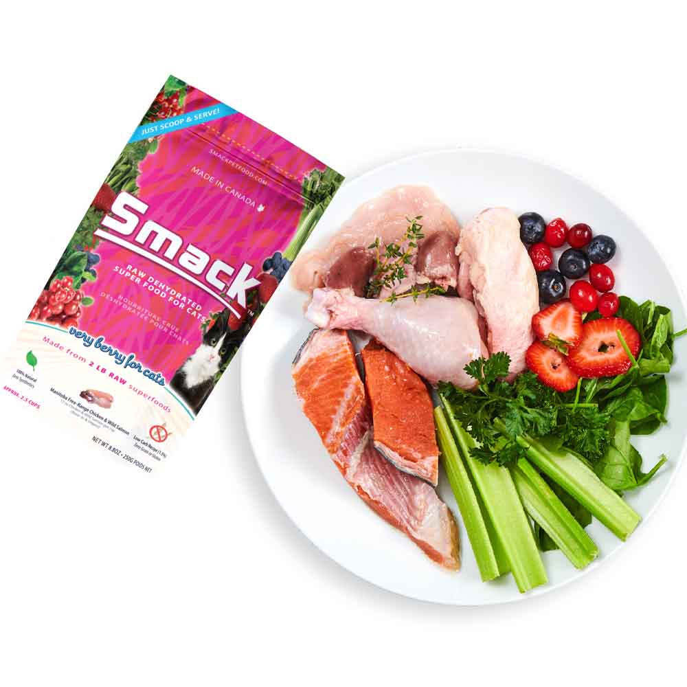 Smack Very Berry Raw Dehydrated Cat Food