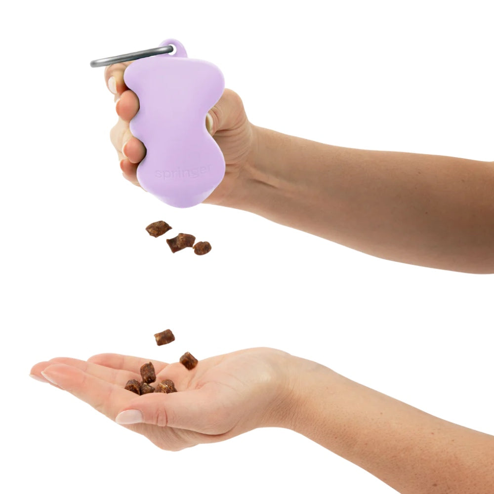 Springer Silicone Dog Treat Dispenser (Springer Green)