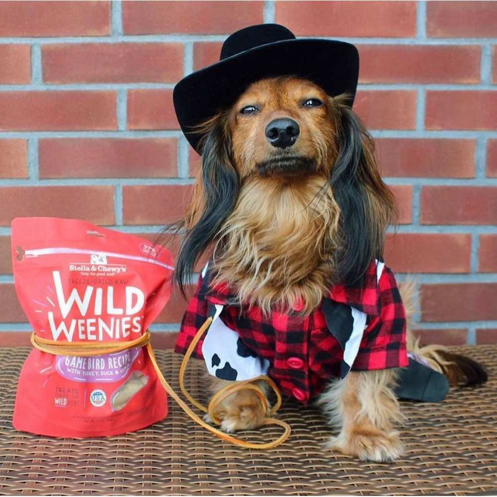 Stella & Chewy’s Dog Treats — Delectable, Mouth-Watering Rewards For Every Pup!