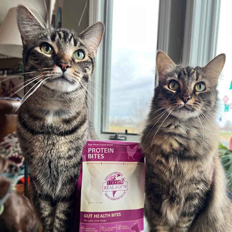 Steve’s Real Food Protein Bites Freeze-Dried Treats For Cats & Dogs — Delicious Treats That Are Good For Your Gut!