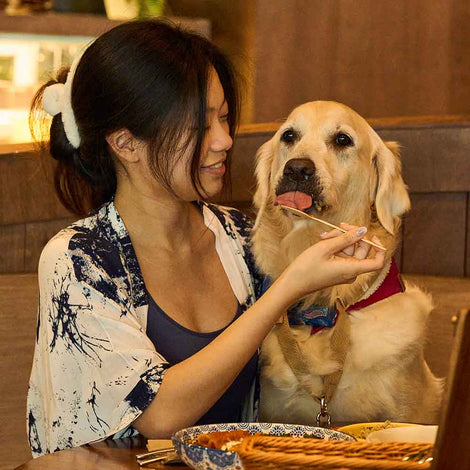 Surrey Hills Grocer — Which Pet-Friendly Outlet To Visit?